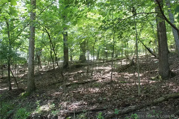 Karen Road, Gravois Mills, MO 65037