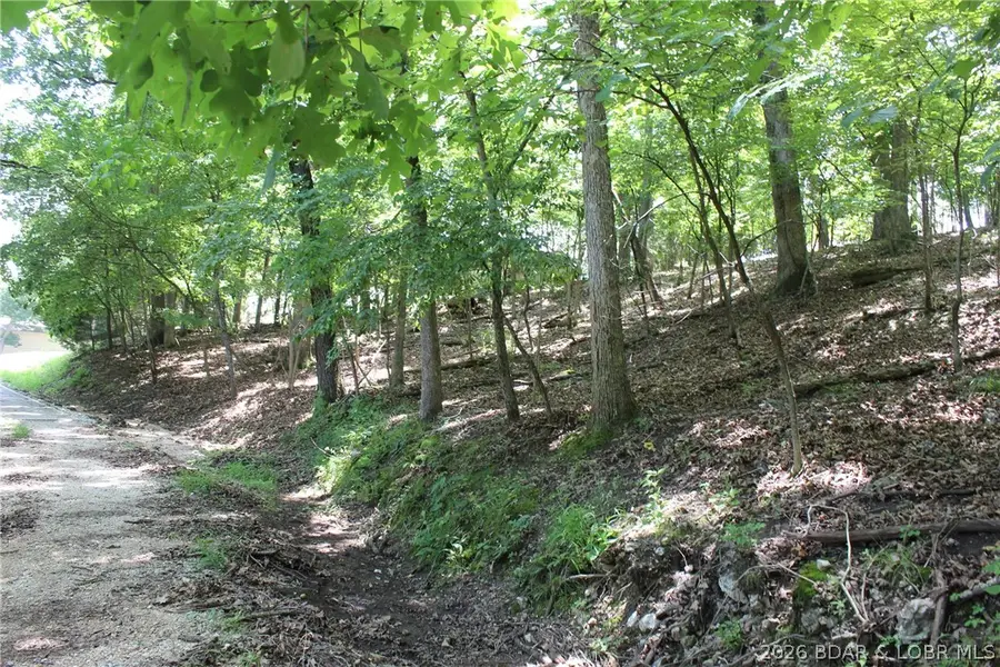 Karen Road, Gravois Mills, MO 65037 - #2