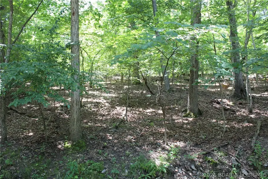 Karen Road, Gravois Mills, MO 65037 - #3