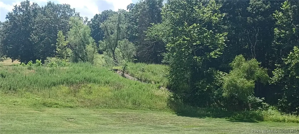 Lot 193 Player Drive, Gravois Mills, MO 65037 - #1