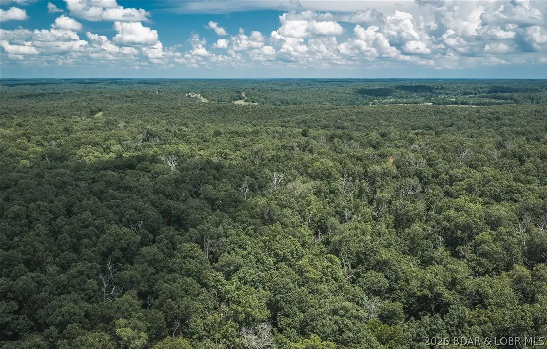 Geronimo Springs-tract 6, Macks Creek, MO 65786 - #1
