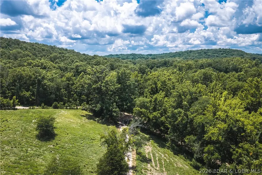 3995 Coffey Hollow Road, Macks Creek, MO 65786 - #3
