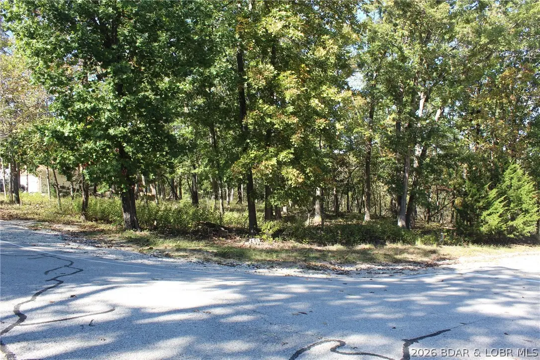 Lot 1241 Woodhaven Circle, Village Of Four Seasons, MO 65049 - #1