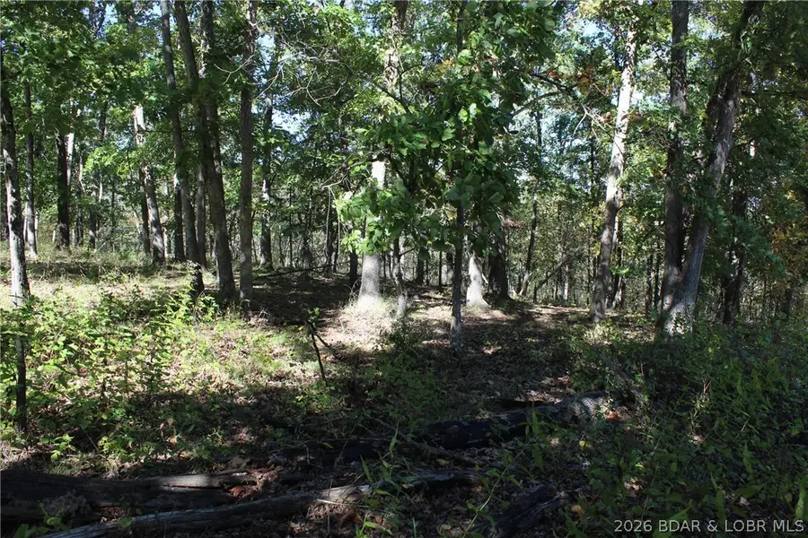 Lot 1241 Woodhaven Circle, Village Of Four Seasons, MO 65049 - #3