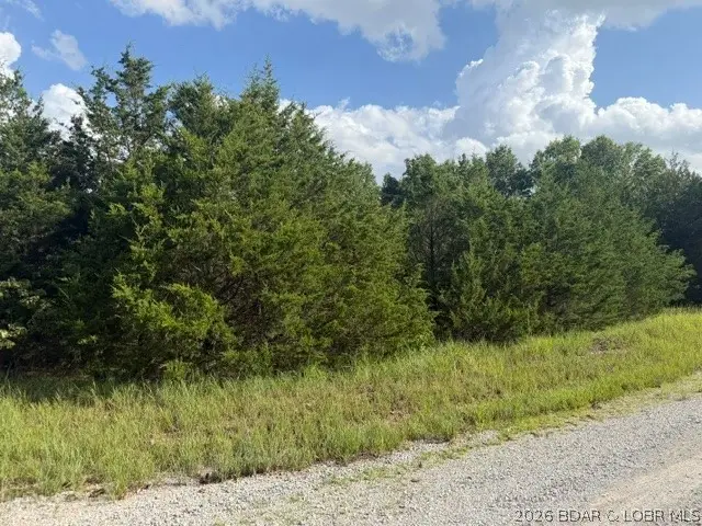 Saito Place, Edwards, MO 65326 - #1