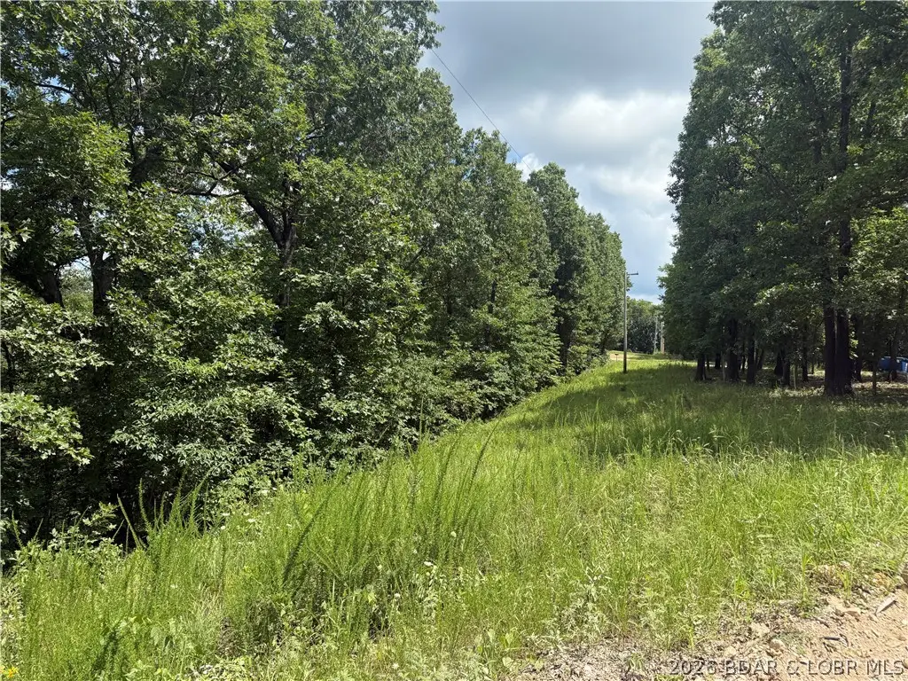 Tunnel Dam Rd, Macks Creek, MO 65786 - #1