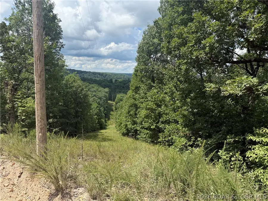 Tunnel Dam Rd, Macks Creek, MO 65786 - #2