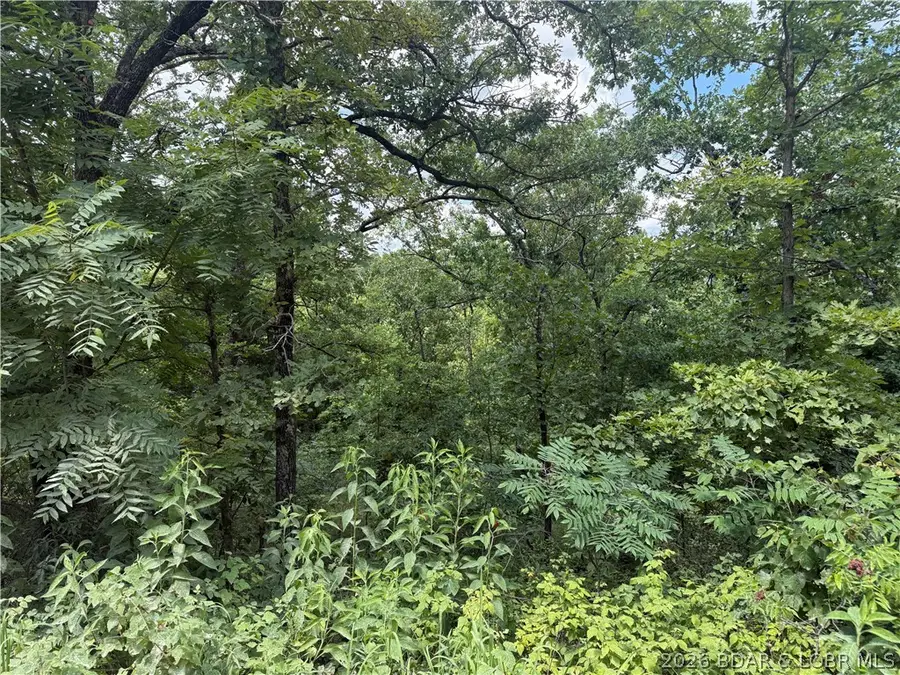 Tunnel Dam Rd, Macks Creek, MO 65786 - #3