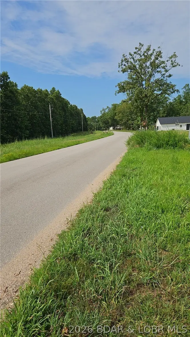 Bass Point Road, Gravois Mills, MO 65037 - #3