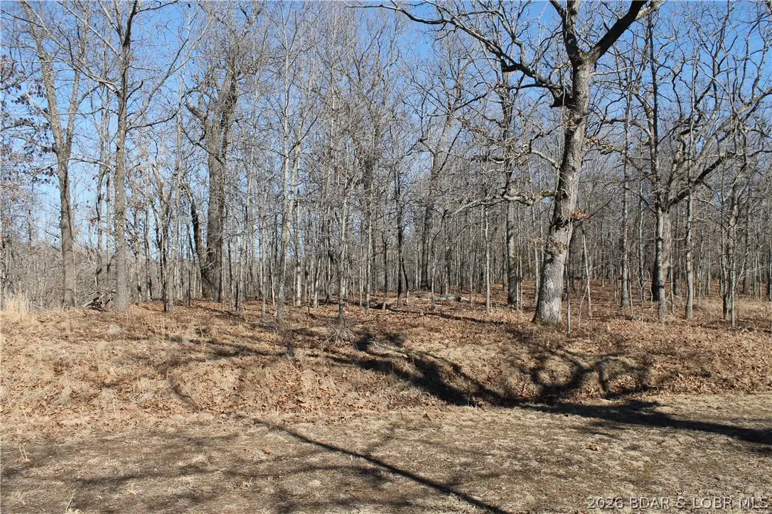 Dunn Drive #1342, Edwards, MO 65326 - #1