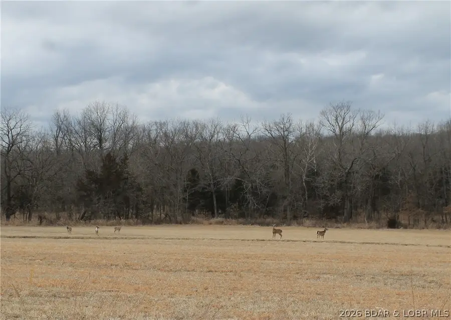 Kip Drive #1632, Edwards, MO 65326 - #3