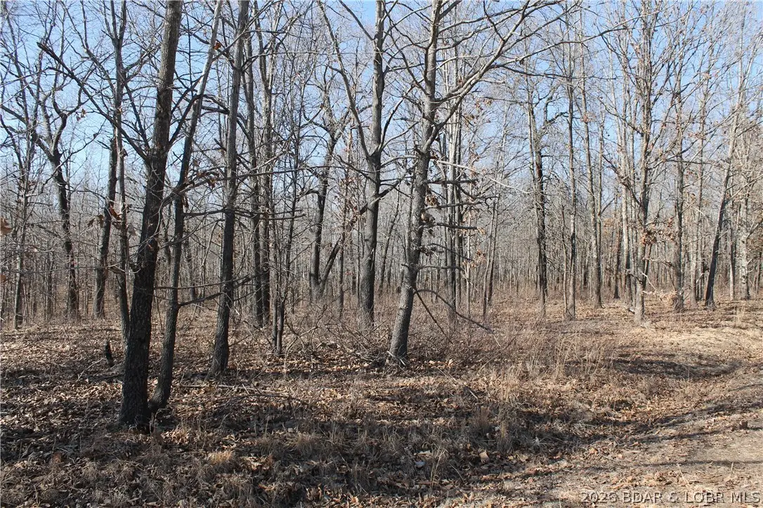 Bowden Place #1471, Edwards, MO 65326 - #1