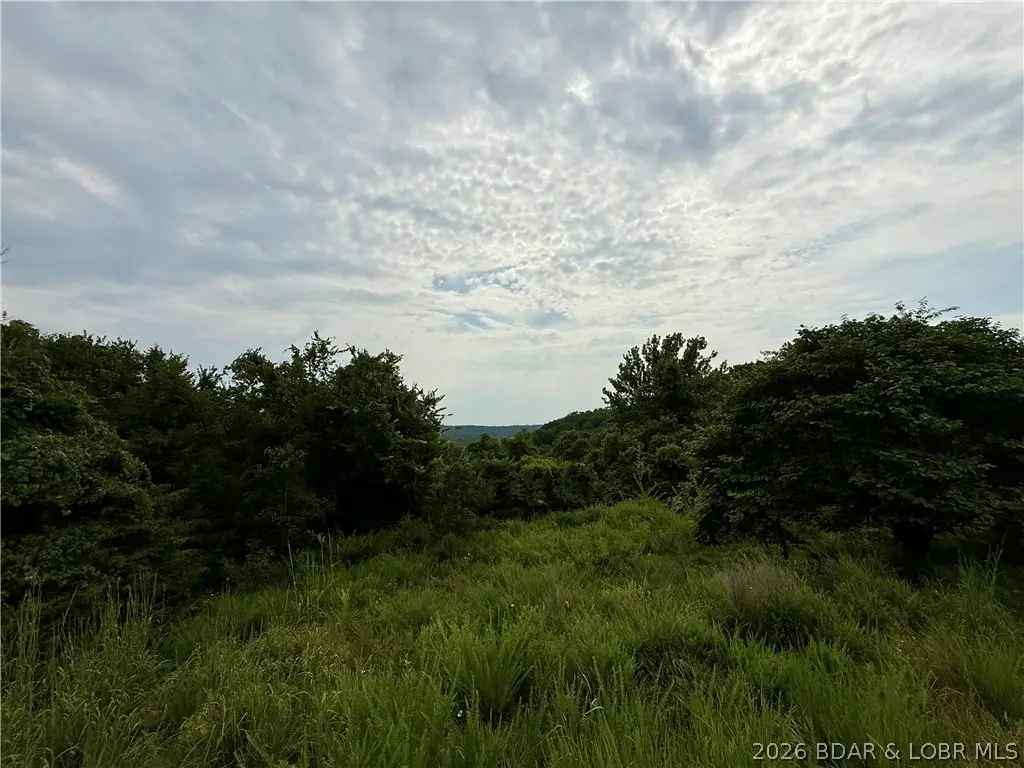 LOTS 50 & 52 Eagles Landing, Edwards, MO 65326 - #1