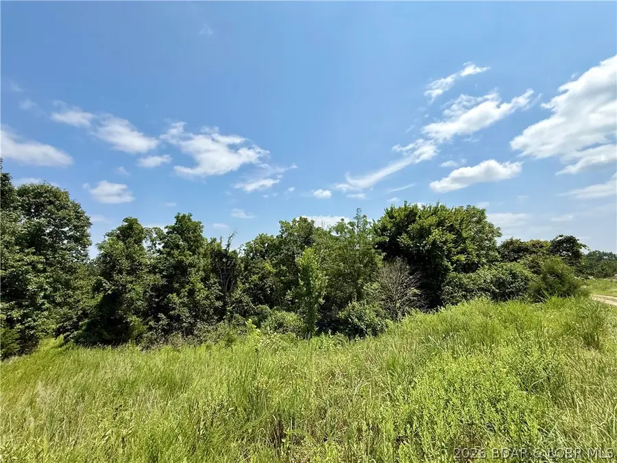 LOTS 50 & 52 Eagles Landing, Edwards, MO 65326 - #3