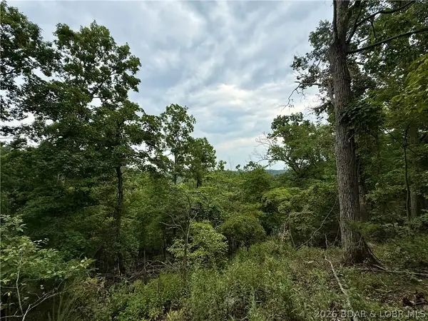 LOTS 53 & 54 Ozark Hills #10, Edwards, MO 65326