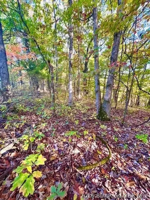 Lot#4 Lakewood Lane, Barnett, MO 65011 - #1