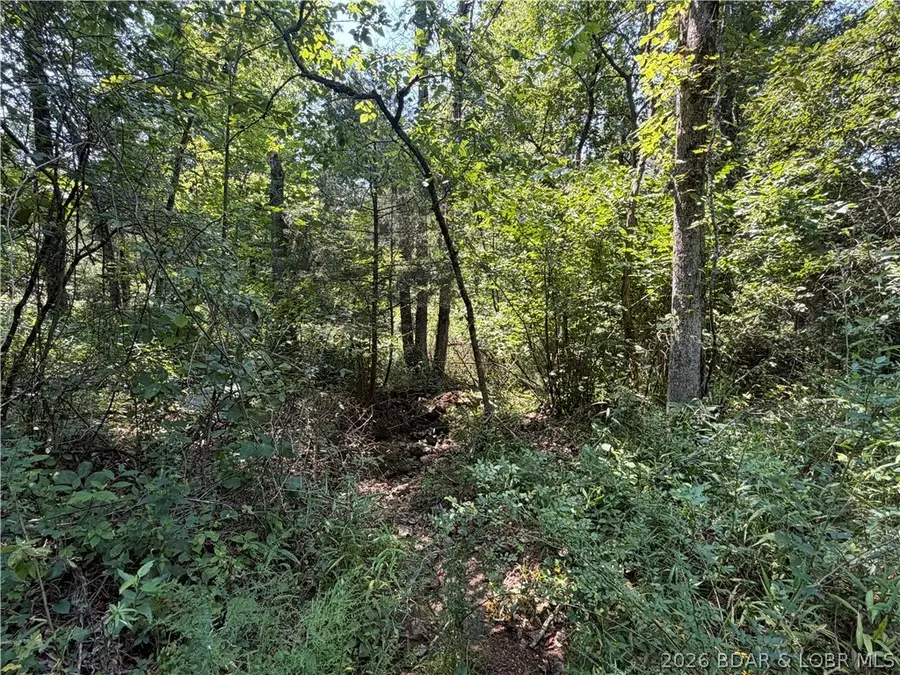 41 +/- acres Inlet Road, Versailles, MO 65084 - #2