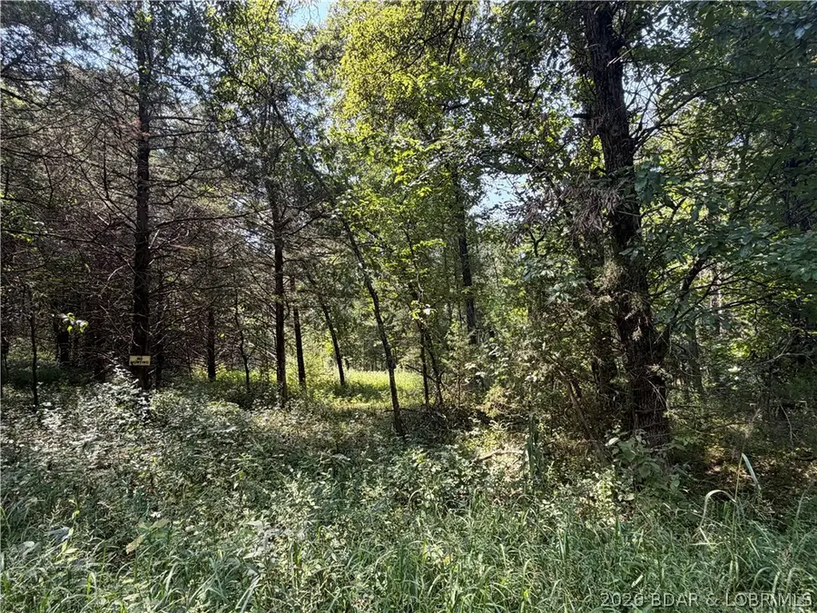41 +/- acres Inlet Road, Versailles, MO 65084 - #3