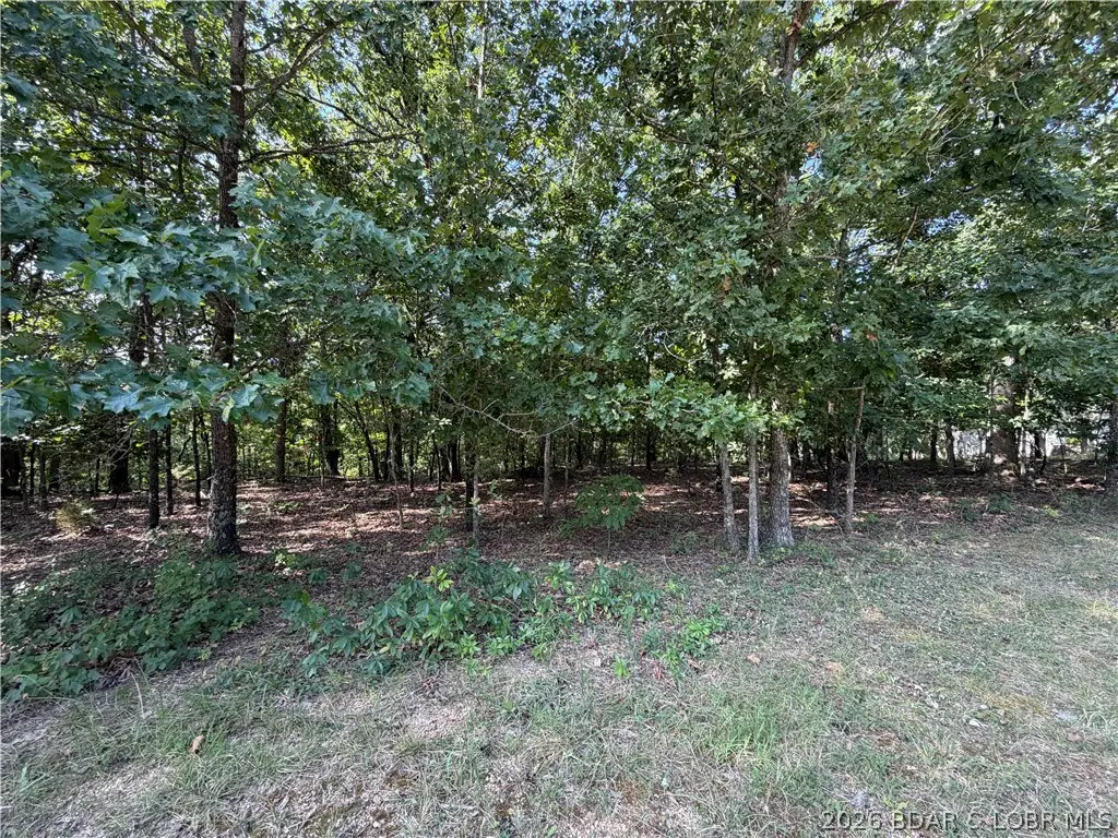 LOT 1064 Bittersweet Road, Village Of Four Seasons, MO 65049 - #1