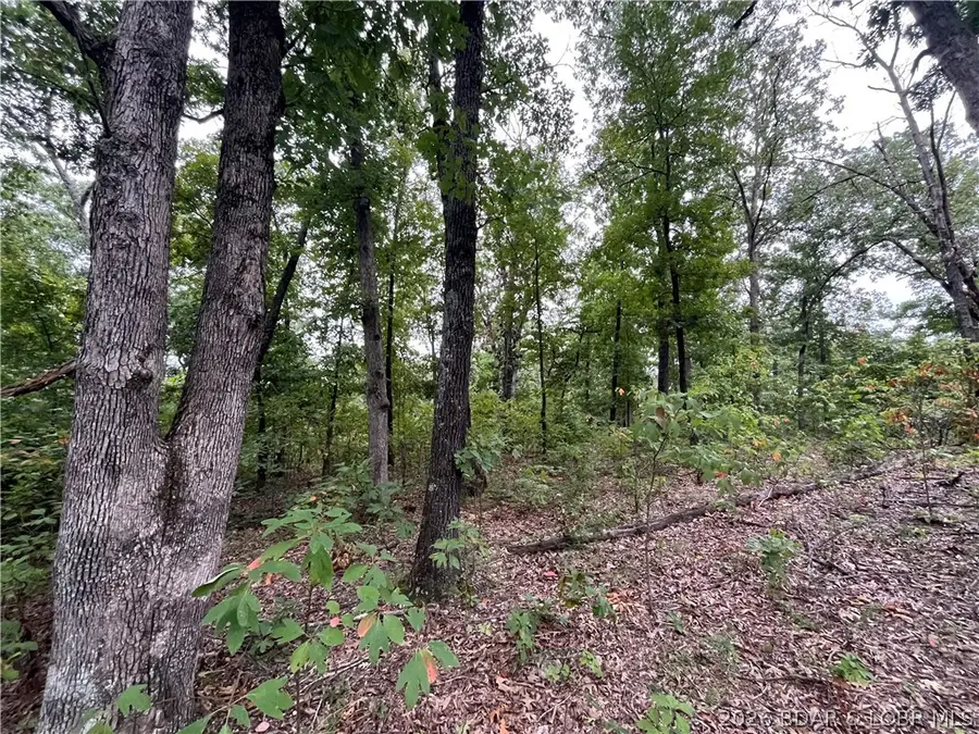 Patridge Drive, Climax Springs, MO 65324 - #2