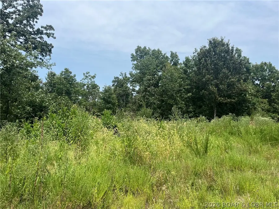 Partridge, Climax Springs, MO 65324 - #2