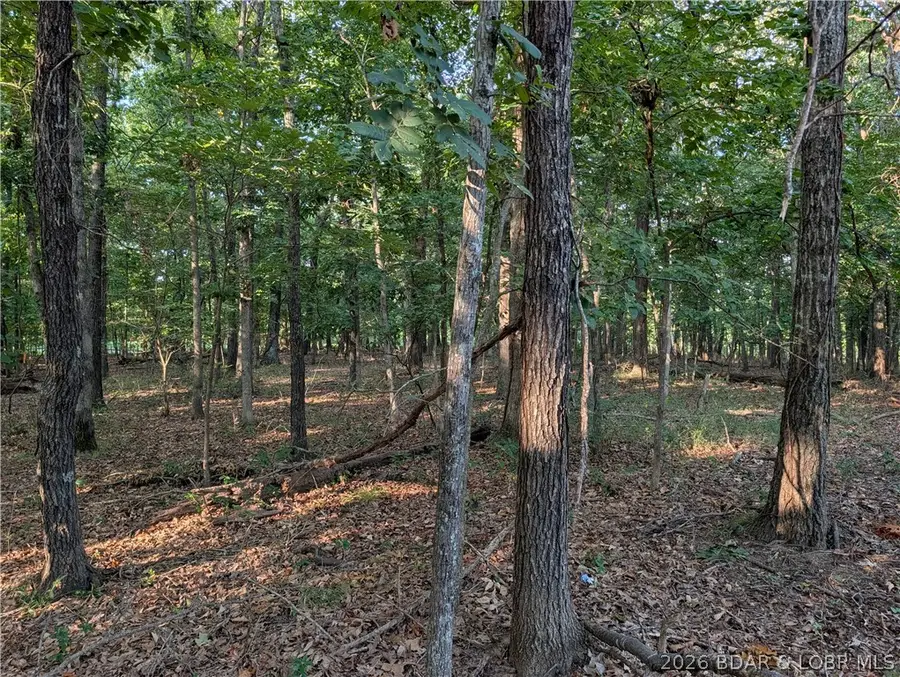 1572 Via Dirupo Drive, Jasper, MO 65079 - #2