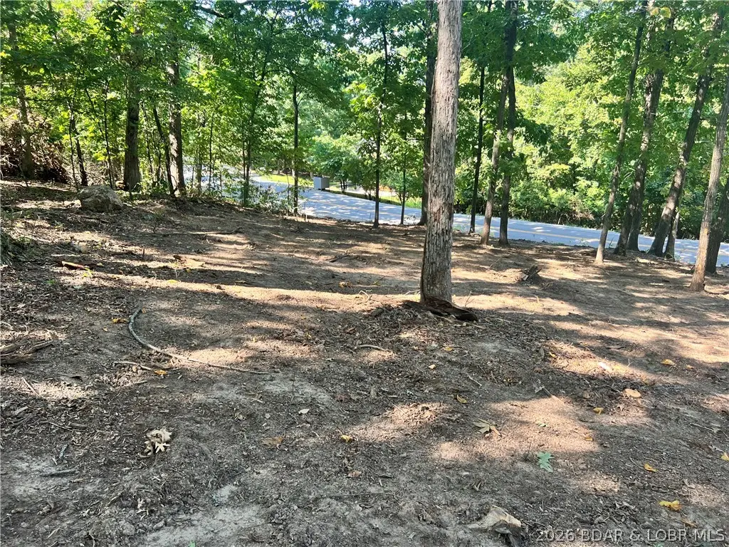 Lot 31 Willow Ridge Road, Lake Ozark, MO 65049 - #1