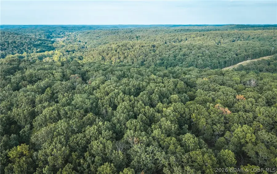 404 Coyote Creek Lane, Climax Springs, MO 65324 - #2