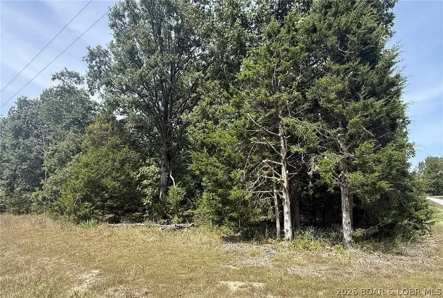 TBD Tt Highway, Warsaw, MO 65355 - #3