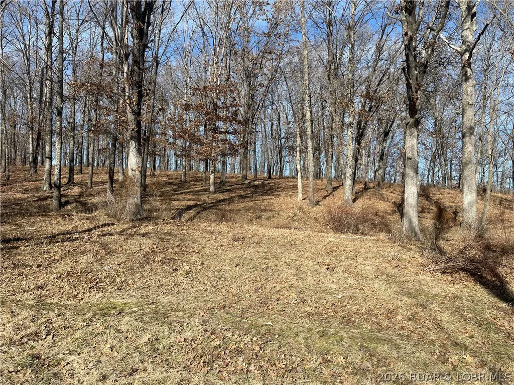 TBD Three Creek Road, Preston, MO 65732 - #1