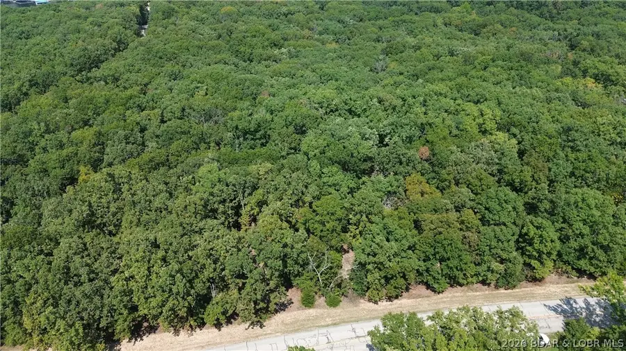 Lot 640 Grand Point Boulevard, Jasper, MO 65079 - #2