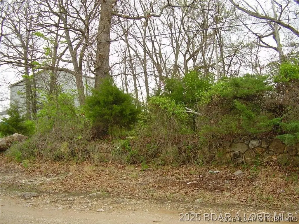 1037 Estate Road, Osage Beach, MO 65065 - #1