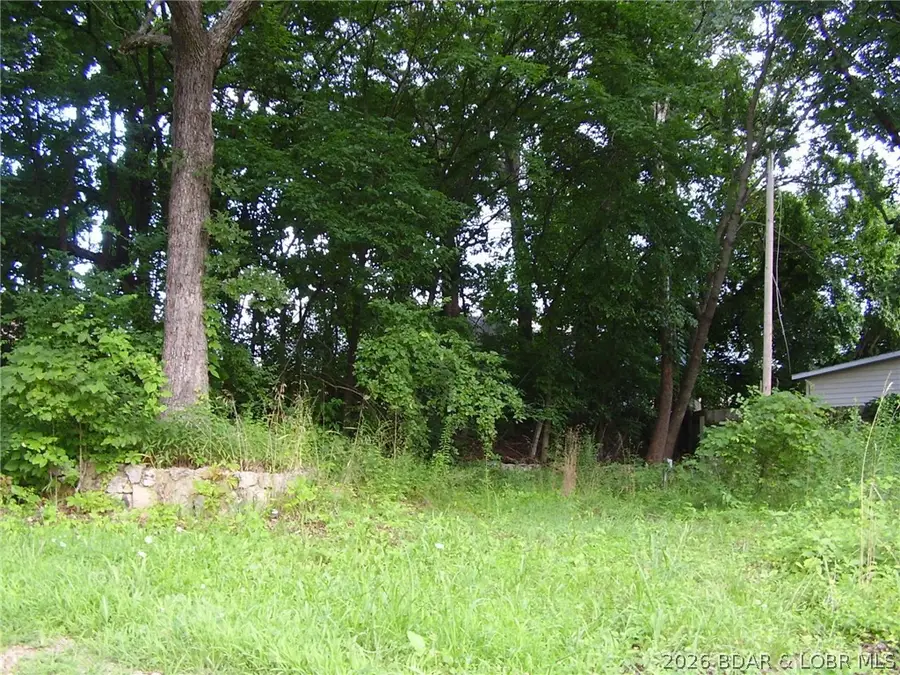 1037 Estate Road, Osage Beach, MO 65065 - #2