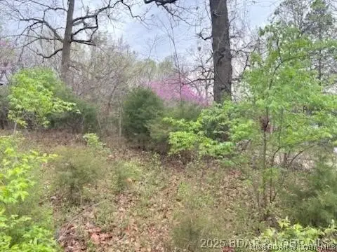 1037 Estate Road, Osage Beach, MO 65065 - #3