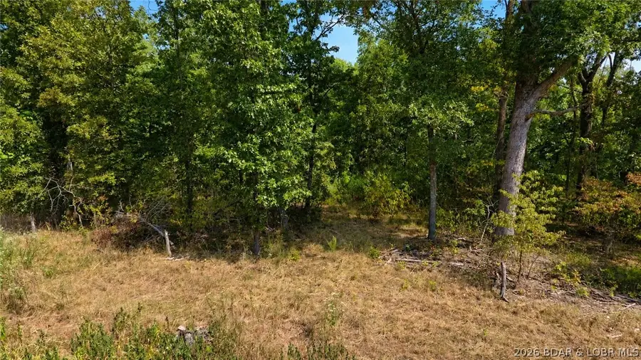TBD Santee Trail, Camdenton, MO 65020 - #3
