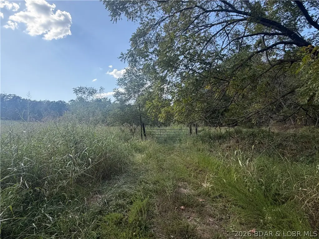 73.43+/- acres Soap Creek, Gravois Mills, MO 65037 - #1