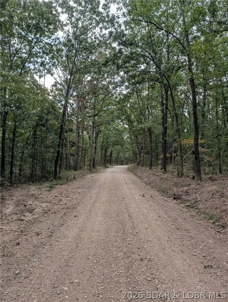 20+- Acres Mccasland Rd, Buffalo, MO 65084 - #1