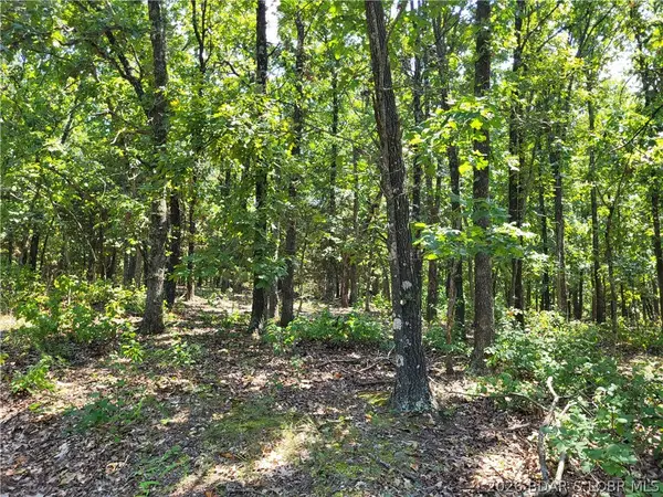 Trinchera Road #3944 & 3945, Edwards, MO 65326