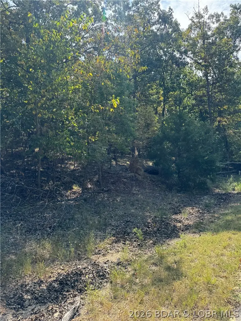 Lot 1093 Salem Drive, Village Of Four Seasons, MO 65049 - #1