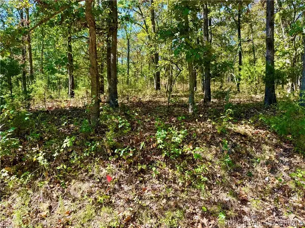 Off Saint Saveur Drive, Edwards, MO 65326