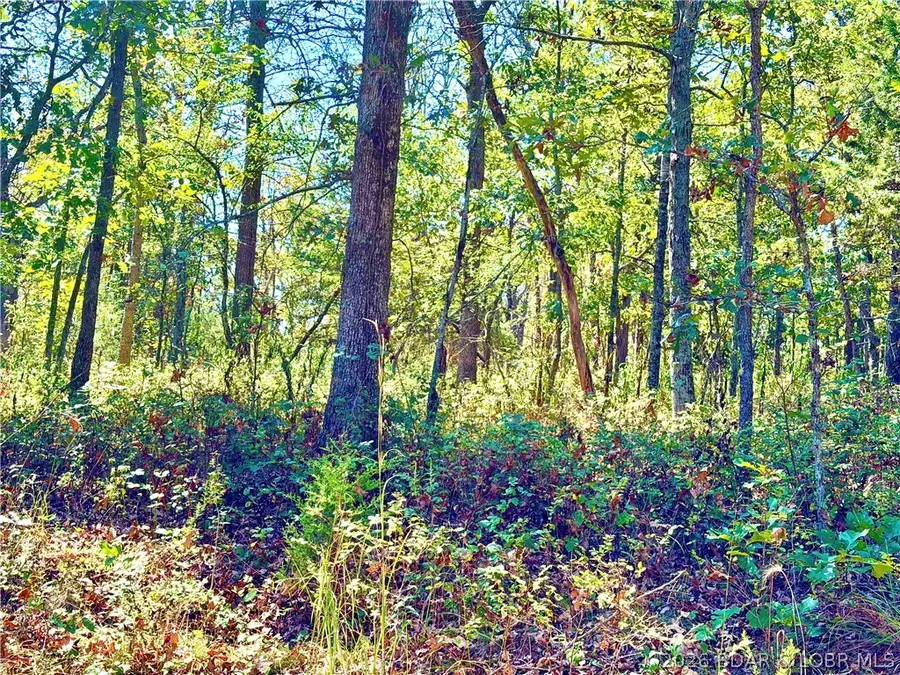 Off Saint Saveur Drive, Edwards, MO 65326 - #3