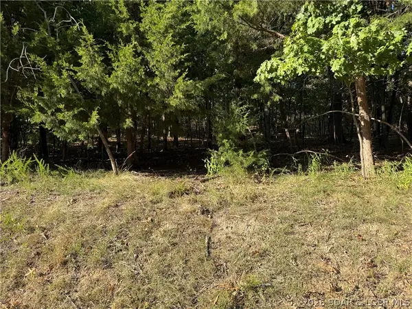 1155 Salem Drive, Four Seasons, MO 65049