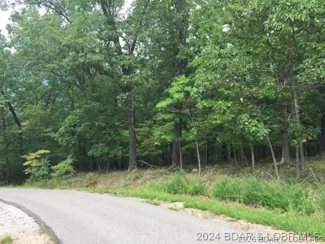448 Pier Thirty-one Road, Camdenton, MO 65020 - #3