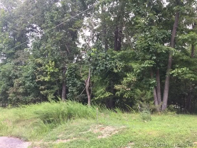 933 Round Table Drive, Camdenton, MO 65020 - #3