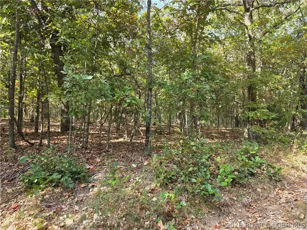 Araskog Drive #3203, 3204, 3205, 3206, Edwards, MO 65326