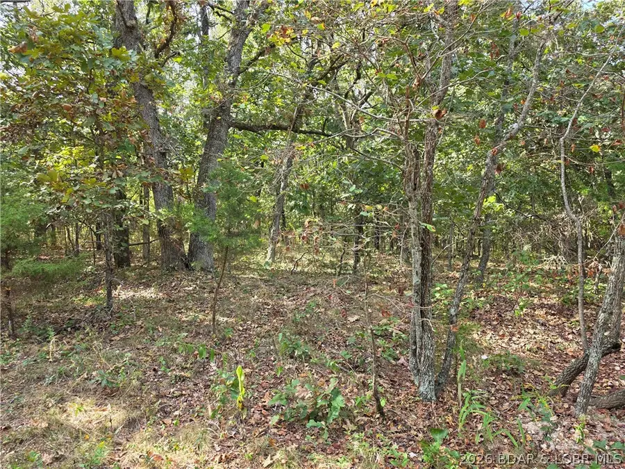 Araskog Drive #3203, 3204, 3205, 3206, Edwards, MO 65326 - #2