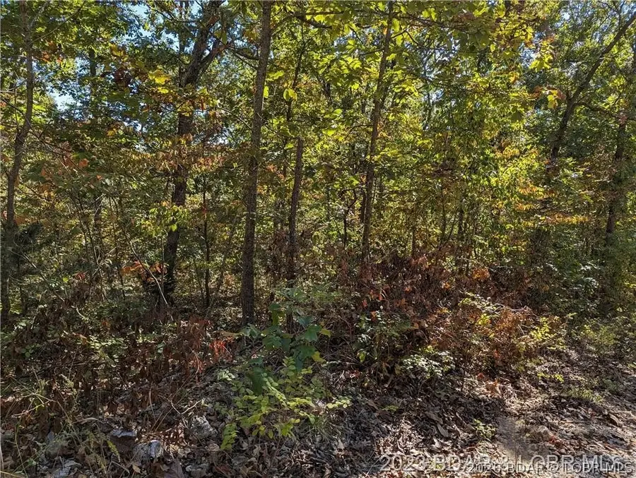 24990 Blue Waters Rd, Versailles, MO 65084 - #3