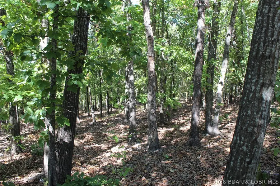 5.7 acres D Highway, Camdenton, MO 65020 - #3