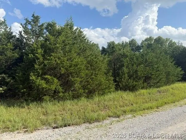 Saito Place, Edwards, MO 65326 - #3