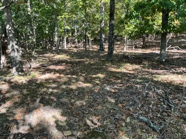 1371A Via Del Lago Drive, Sunrise Beach, MO 65079 - #2